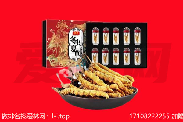 宁安市回收虫草.jpg